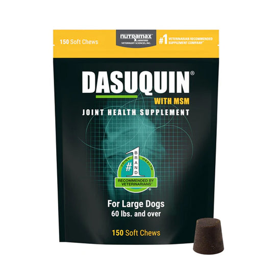 Dasuquin with msm joint health supplement package for large dogs with Nutramax branding.