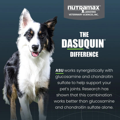 Dog with Nutramax Dasuquin advertisement on a dark background