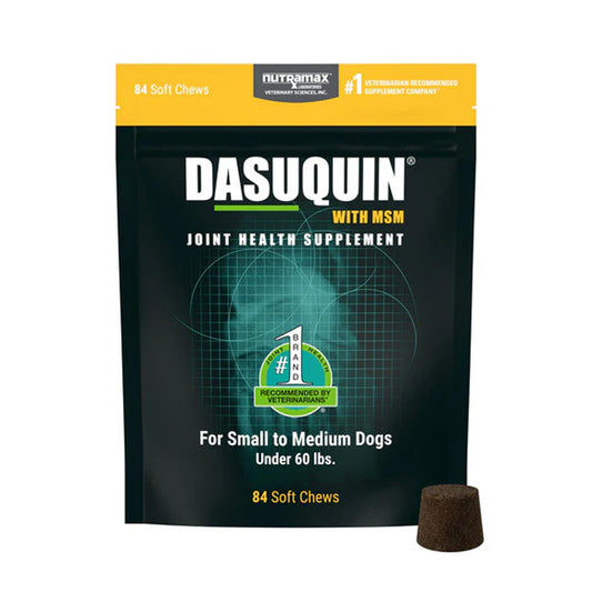 Dasuquin with MSM Joint Health Supplement for dogs in a black resealable pouch with a yellow top band, shown on a white background with one brown soft chew placed beside it.