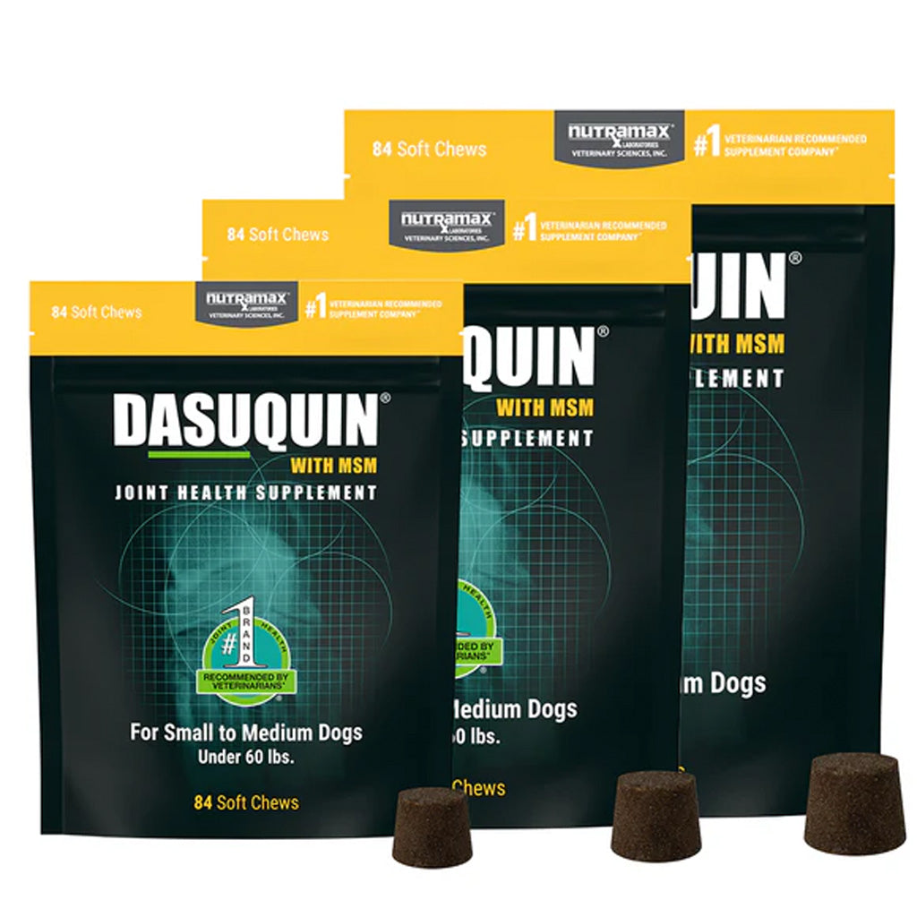 Three bags of Dasuquin with MSM joint health supplement for small to medium dogs under 60 lbs, arranged in a fan shape with four brown soft chews displayed in front on a white background.
