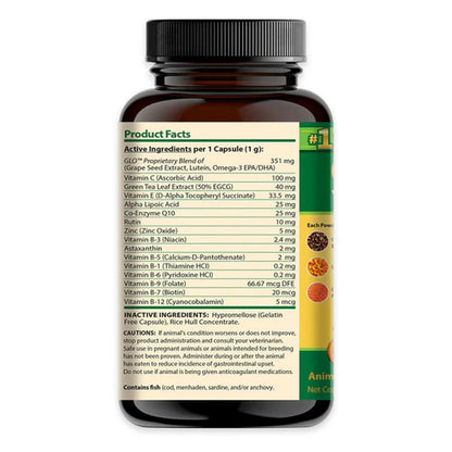 Ocu-Glo PBXL vision supplement for dogs ingredients