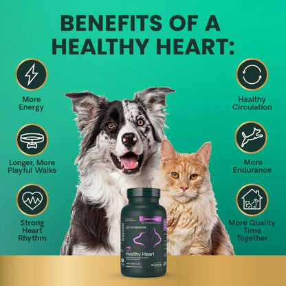 Benefits of Omega Healthy Heart for dogs and cats, shown around the capsule bottle