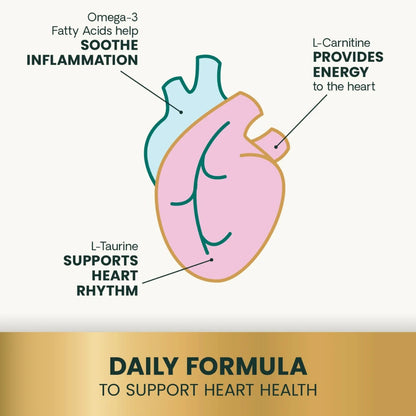 Diagram showing how Omega Healthy Heart supports heart muscle function, circulation and normal rhythm in dogs and cats