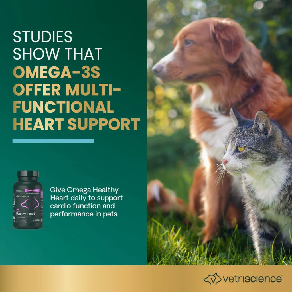 Dog and cat at home with Omega Healthy Heart, a heart supplement for multi-pet households