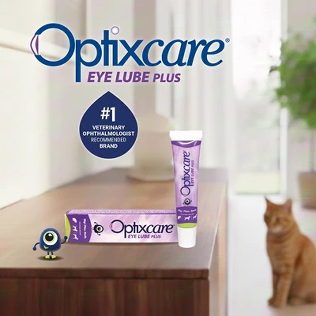 Optixcare Eye Lube Plus packaging on a table with a cat in the background