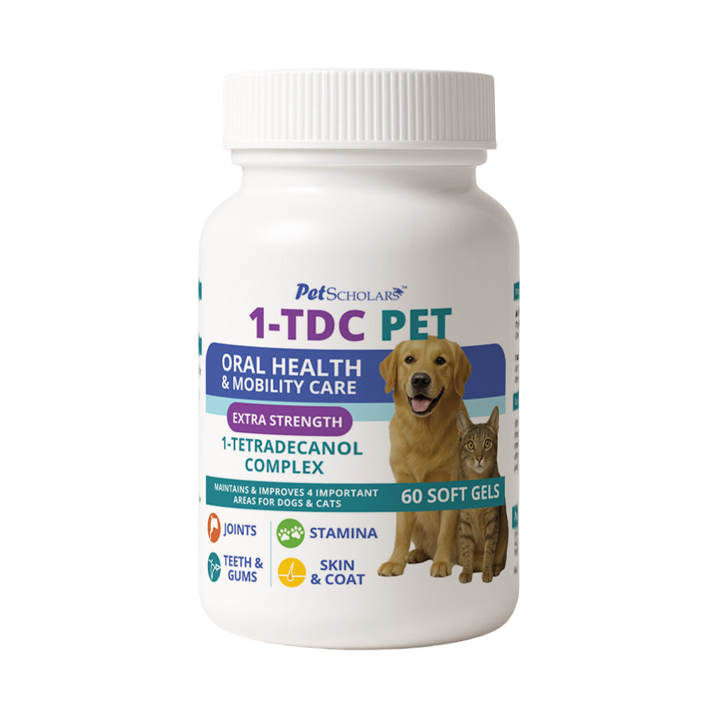 Bottle of Pet Scholars 1-TDC PET supplement for oral health and mobility care on a white background 60 Soft Gels
