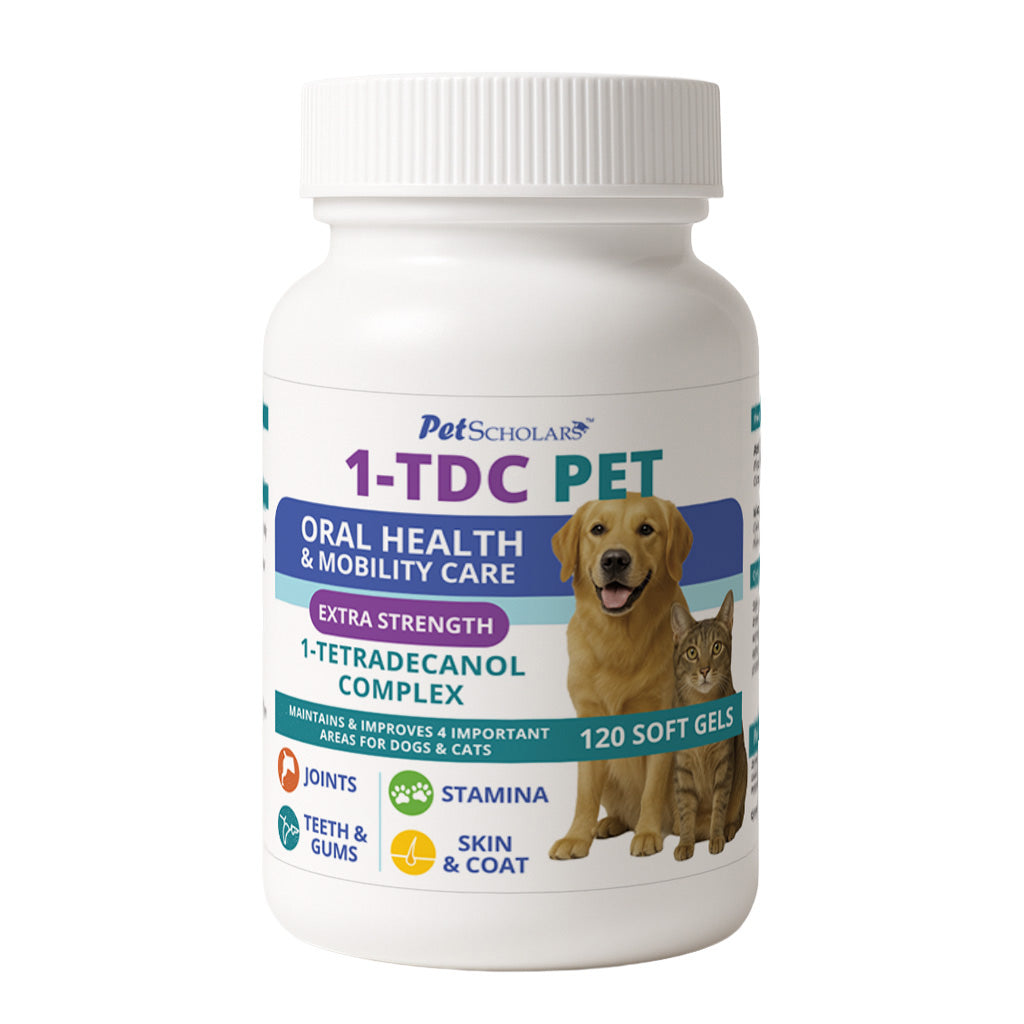 Bottle of Pet Scholars 1-TDC PET supplement for oral health and mobility care on a white background 120 Soft Gels