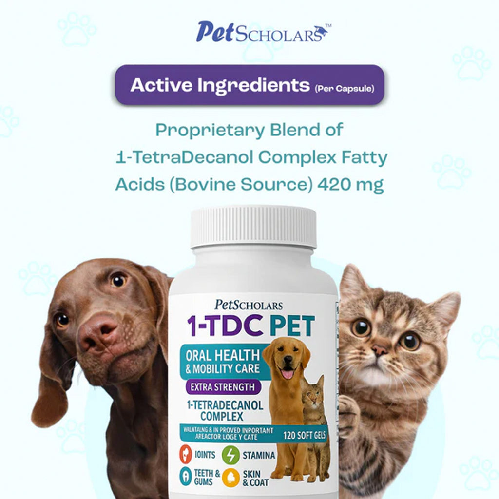 Pet Scholars 1-TDC PET supplement bottle with a dog and cat on a light blue background