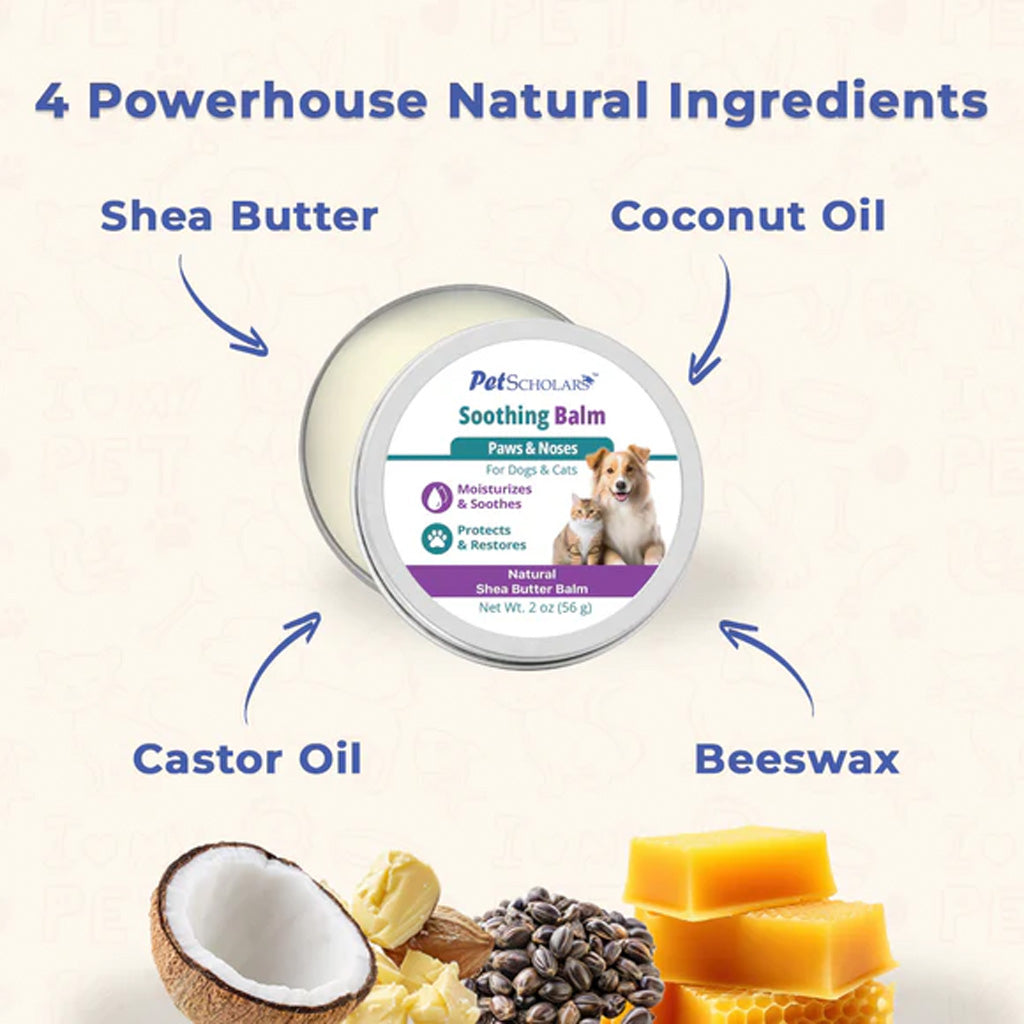 Pet Scholars Soothing Balm with natural ingredients like shea butter, coconut oil, castor oil, and beeswax on a light background.