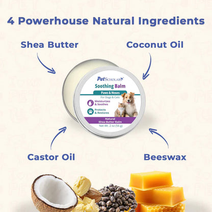Pet Scholars Soothing Balm with natural ingredients like shea butter, coconut oil, castor oil, and beeswax on a light background.