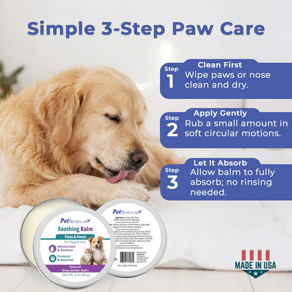 Dog with paw care balm and instructions for simple 3-step paw care on a white background