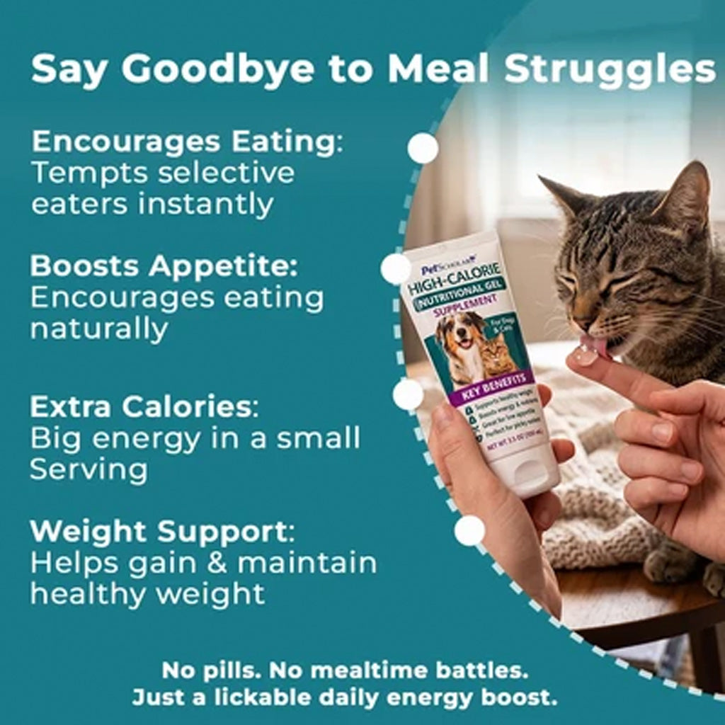 Promotional graphic for Pet Scholars High-Calorie Supplement Gel, showing a hand holding the white and purple tube while a cat licks a finger. The left side features a teal background with white text detailing benefits like encouraging eating, boosting appetite, extra calories, and weight support.