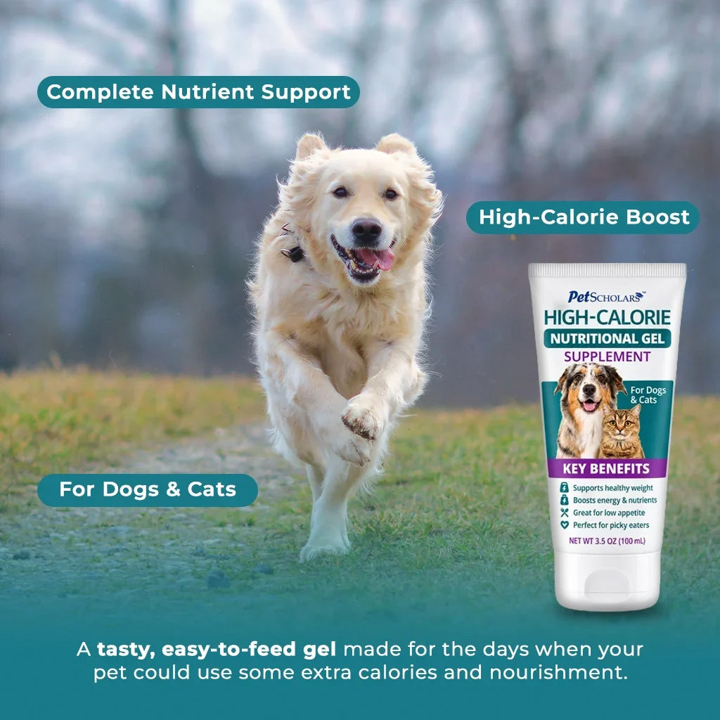 A golden retriever runs across a grassy path in a blurred outdoor setting, with a tube of Pet Scholars High-Calorie Nutritional Gel supplement shown on the right. Text overlays read 'Complete Nutrient Support,' 'High-Calorie Boost,' 'For Dogs & Cats,' and a descriptive benefit statement.