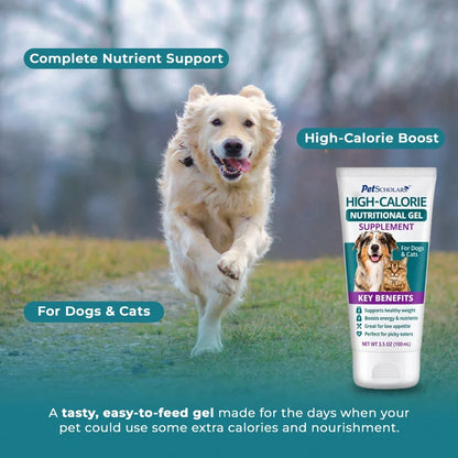 A golden retriever runs across a grassy path in a blurred outdoor setting, with a tube of Pet Scholars High-Calorie Nutritional Gel supplement shown on the right. Text overlays read 'Complete Nutrient Support,' 'High-Calorie Boost,' 'For Dogs & Cats,' and a descriptive benefit statement.