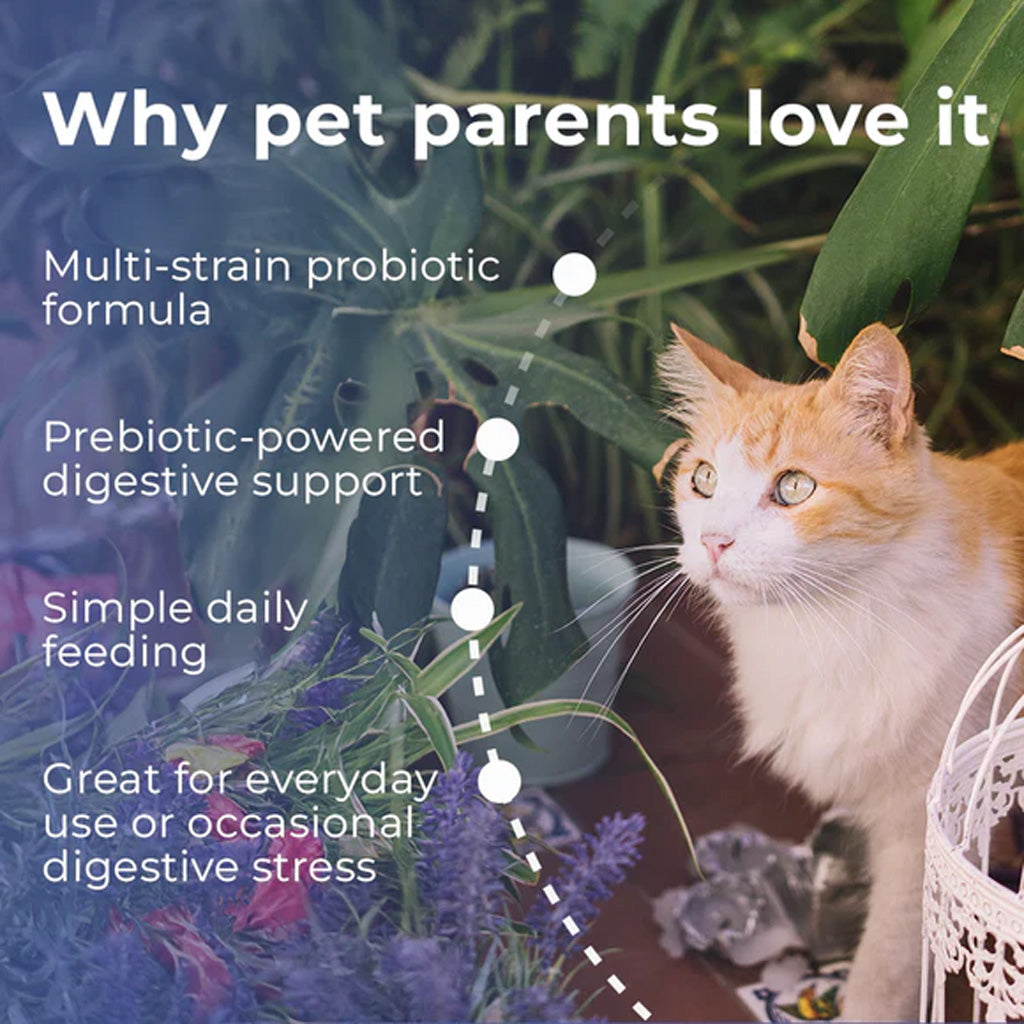 Pet Scholars Probiotic Gel formula information with a cat sitting among plants