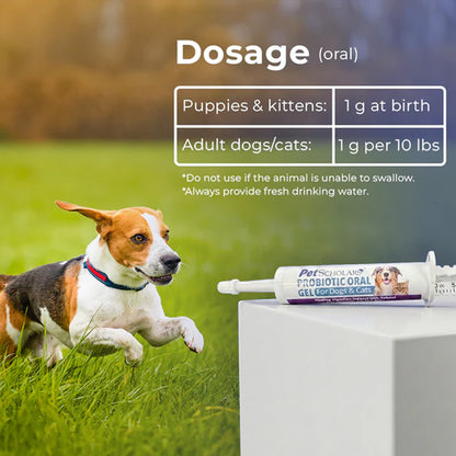 Dosage guide for Pet Scholars Probiotic Gel with a dog running on grass