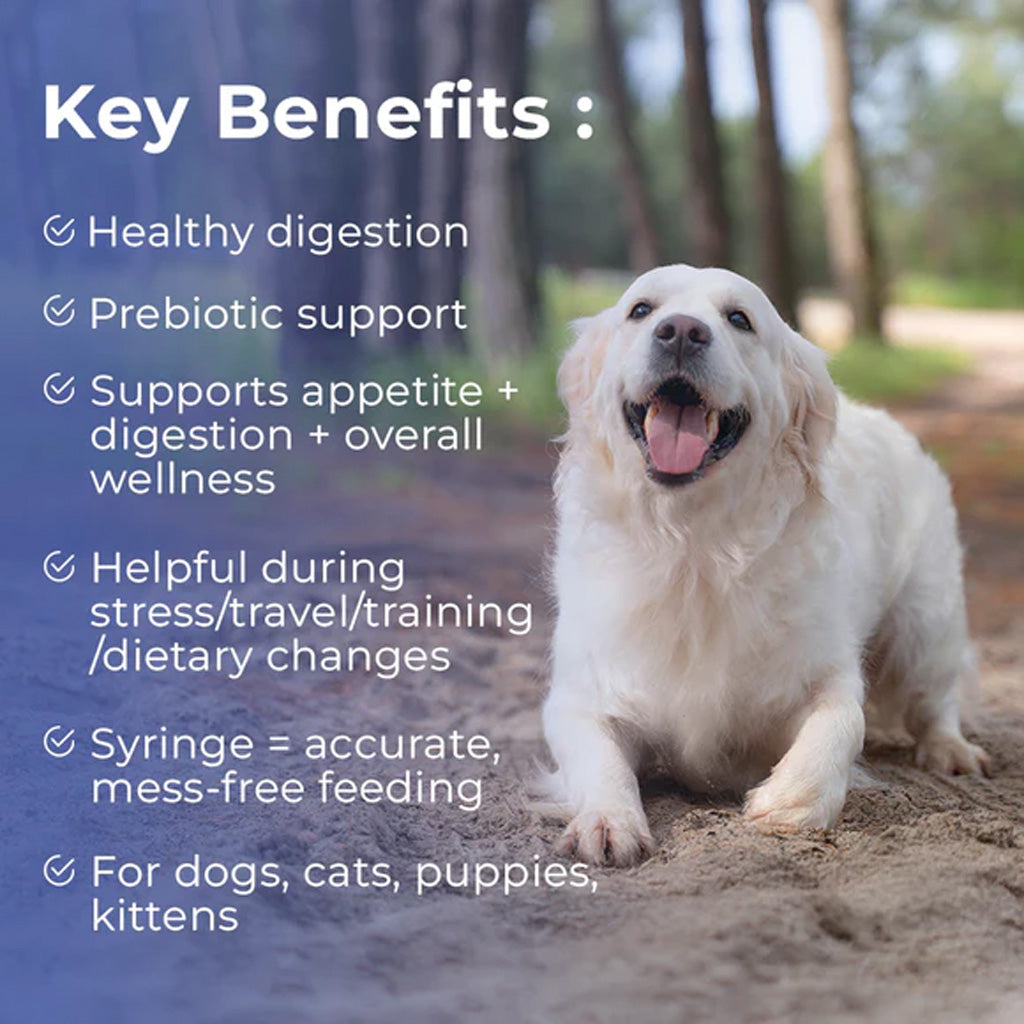 Key benefits of Pet Scholars Probiotic Gel shown beside a dog sitting outdoors