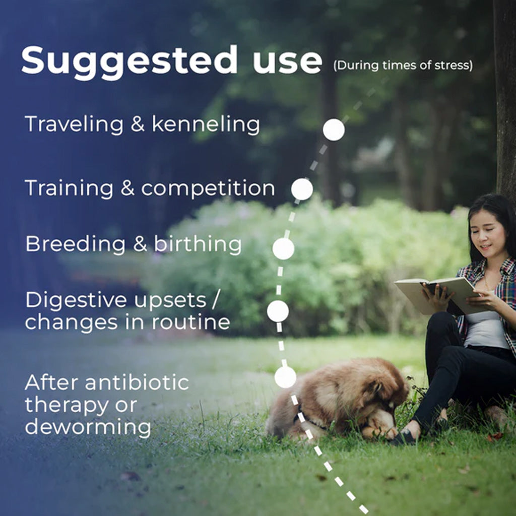 Suggested use instructions for Pet Scholars Probiotic Gel with a woman and dog outdoors