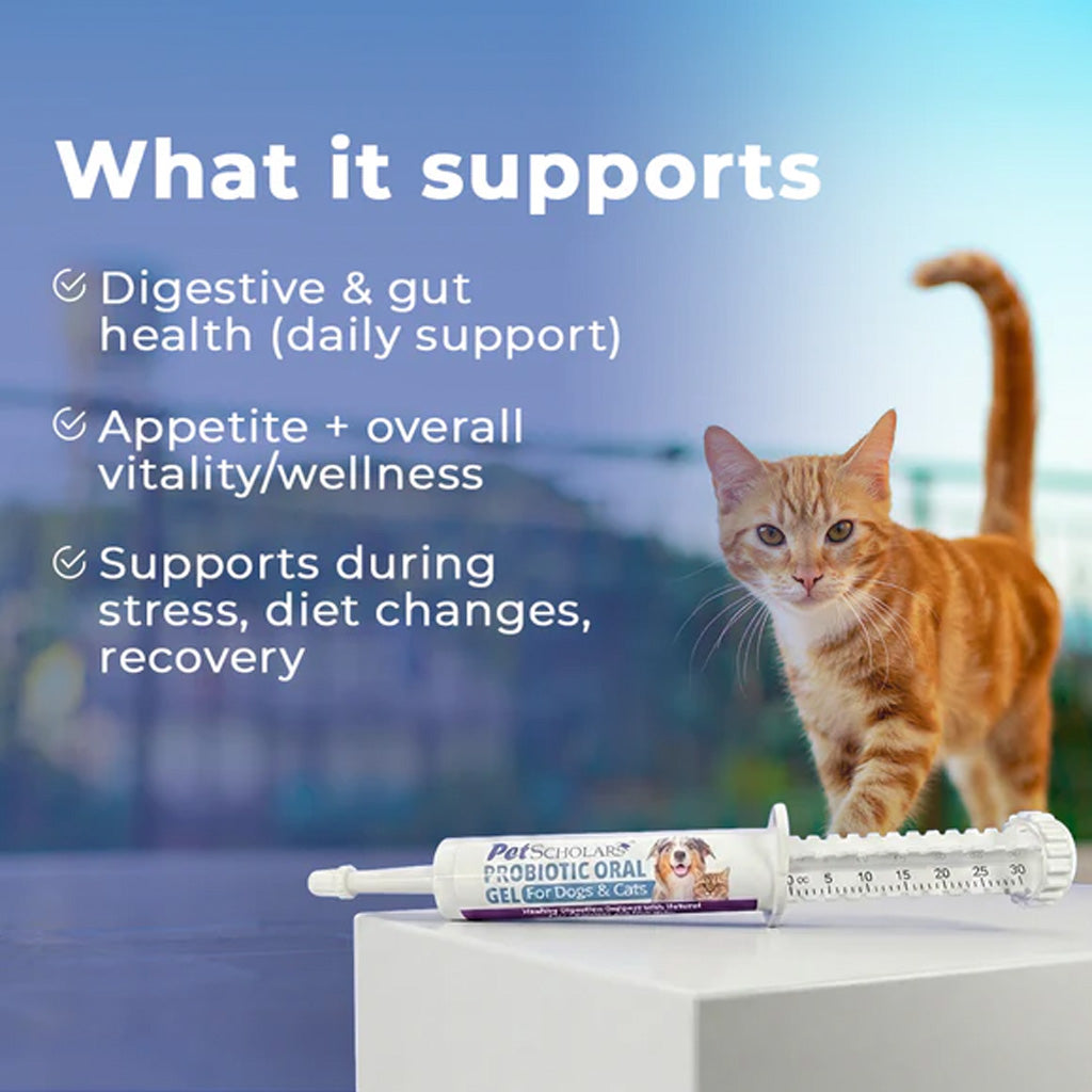 What Pet Scholars Probiotic Gel supports, including digestion and gut balance