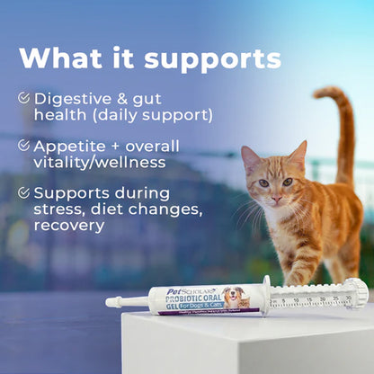 What Pet Scholars Probiotic Gel supports, including digestion and gut balance