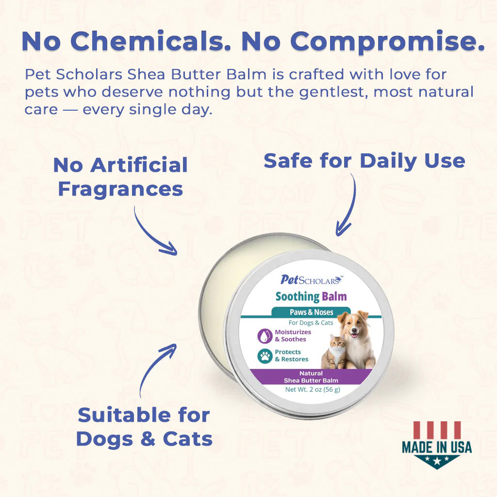 Pet Scholars Shea Butter Balm for pets with text highlighting benefits on a white background