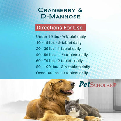 Pet medication dosage chart with a dog and cat on a light background, featuring the Pet Scholar brand.