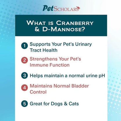 Informational graphic about cranberry and D-Mannose for pets, featuring Pet Scholars branding.