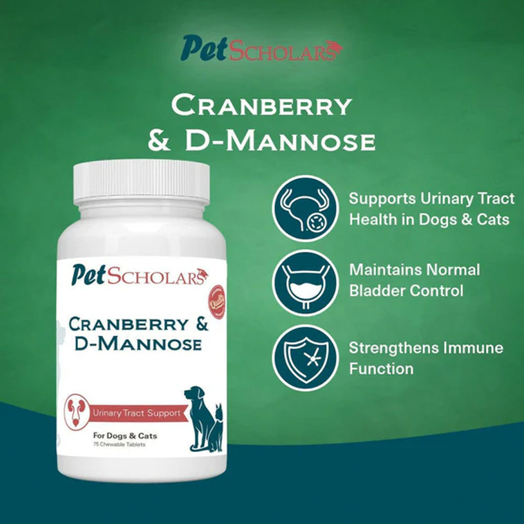 Pet Scholars Cranberry & D-Mannose supplement bottle on a green background