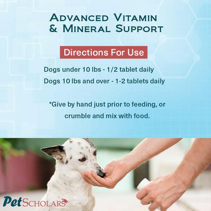 Pet Scholars advanced vitamin and mineral support directions for use with a dog and person interacting.