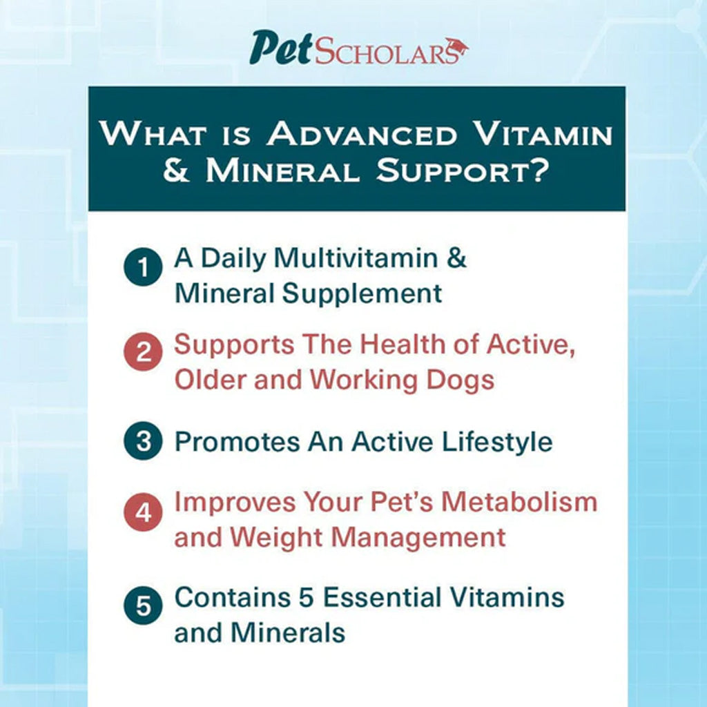 Pet Scholars informational graphic about advanced vitamin and mineral support for dogs.