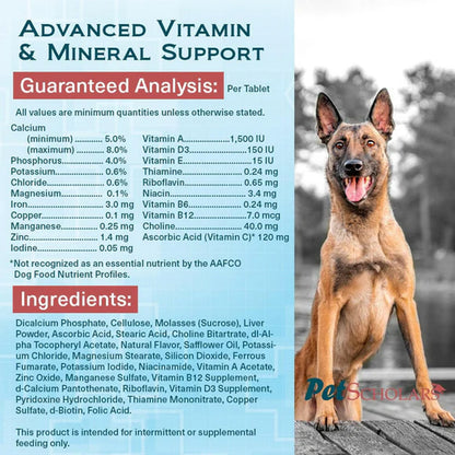 Pet Scholars Advanced Vitamin & Mineral Support Dog supplement label with a dog on a wooden deck