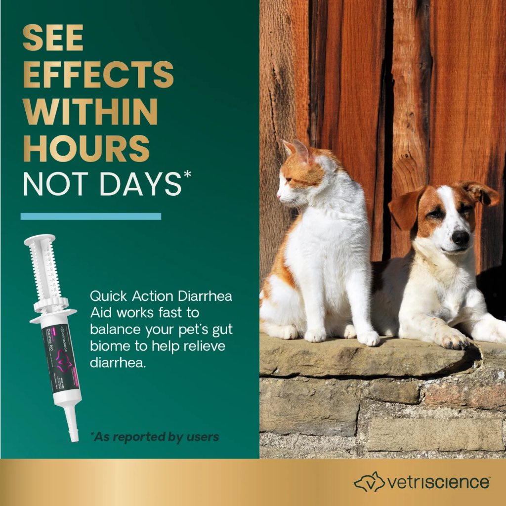Cat and dog outdoors with Quick Action Diarrhea Aid probiotic paste