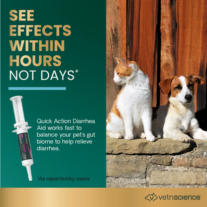Cat and dog outdoors with Quick Action Diarrhea Aid probiotic paste