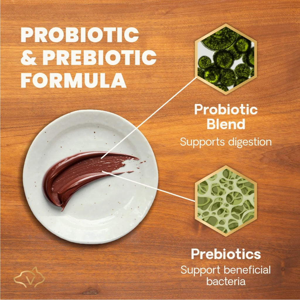 Probiotic formula in Quick Action Diarrhea Aid: eight beneficial organisms including L. acidophilus, E. faecium, L. casei, L. plantarum, B. subtilis and S. cerevisiae
