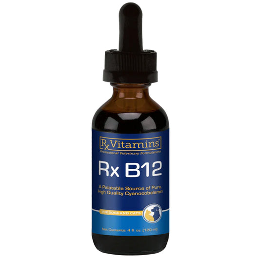 Rx Vitamins Rx B12 liquid supplement for dogs and cats, amber dropper bottle