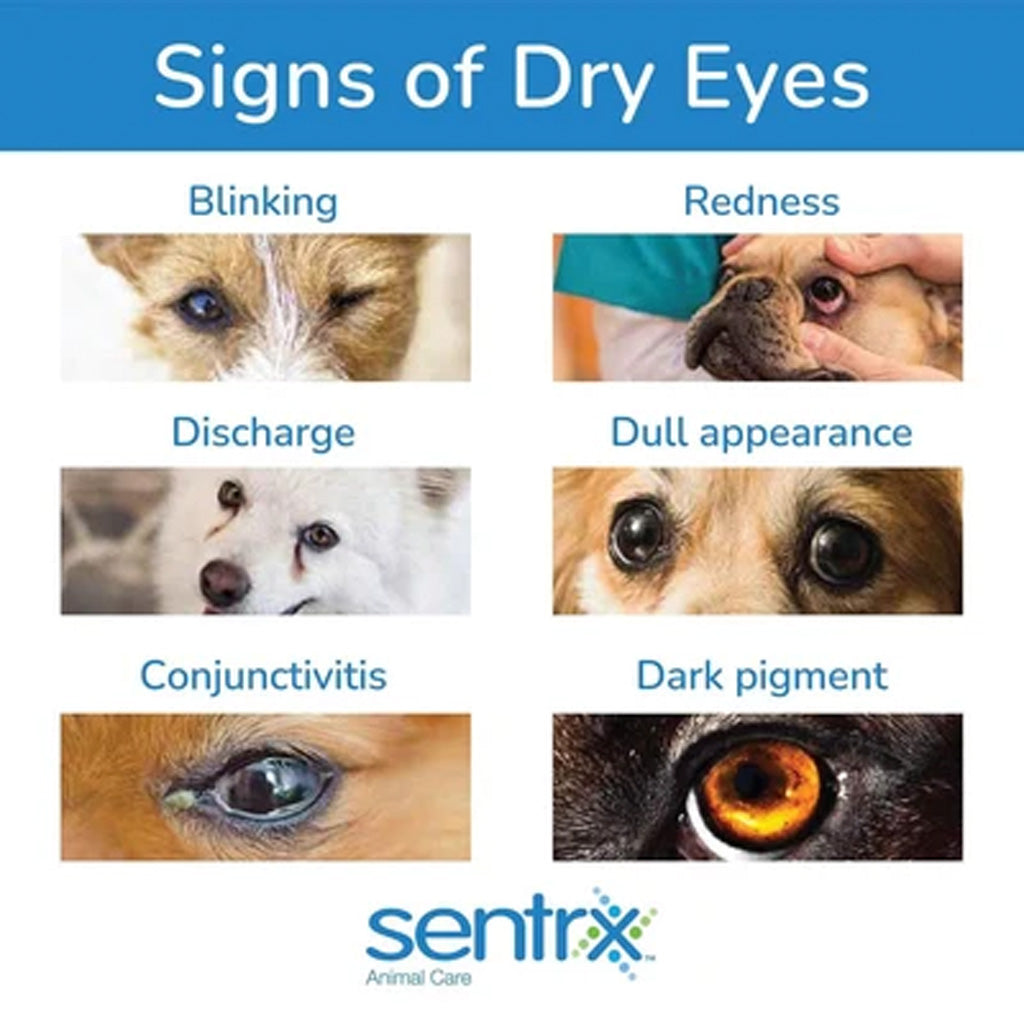 Sentrx Eye Lube Pro for Dogs & Cats | 20g | Available at Boss Pets UK