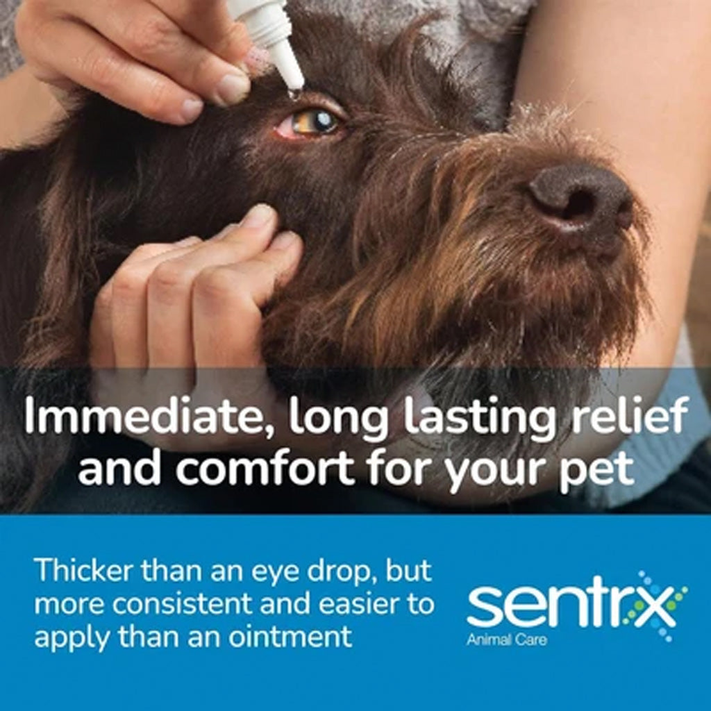 Sentrx Eye Lube Pro for Dogs & Cats | 20g | Available at Boss Pets UK