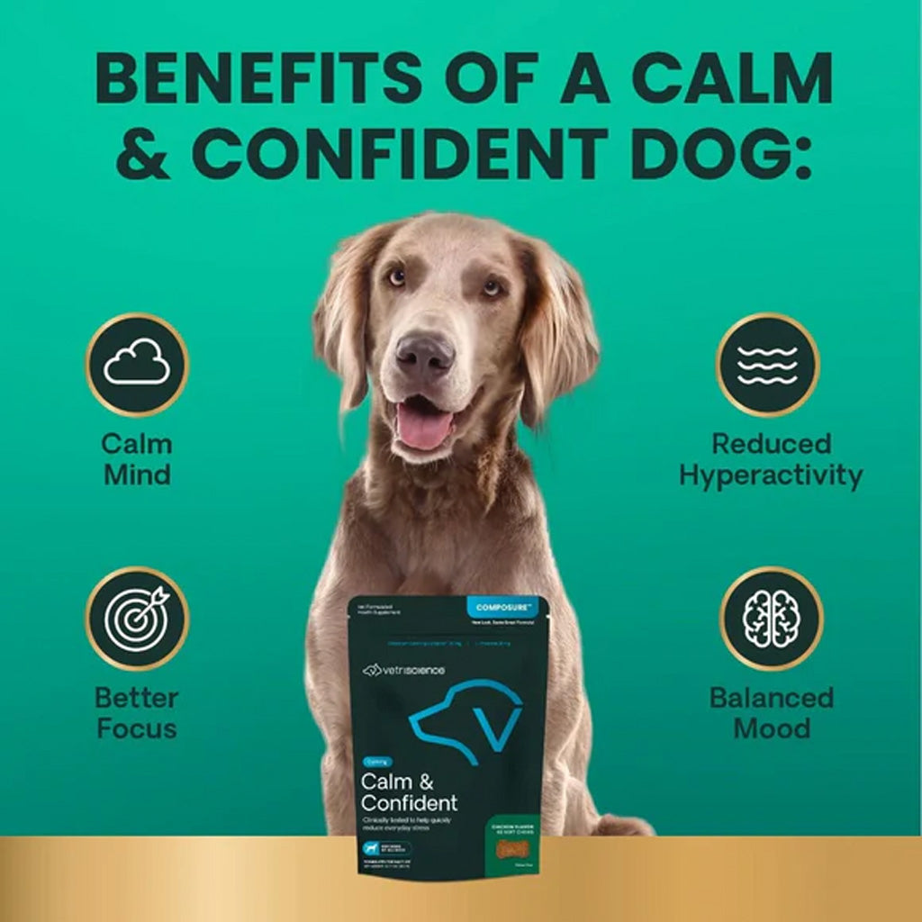 VetriScience Composure Calming Chews for Dogs – Stress & Anxiety Relief benefits | UK Stock