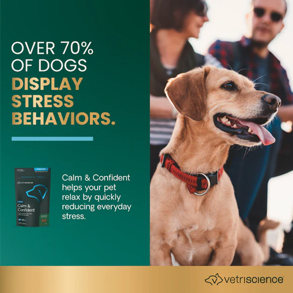 VetriScience Composure Calming Chews for Dogs, Chicken Flavour – Stress & Anxiety Relief | UK Stock