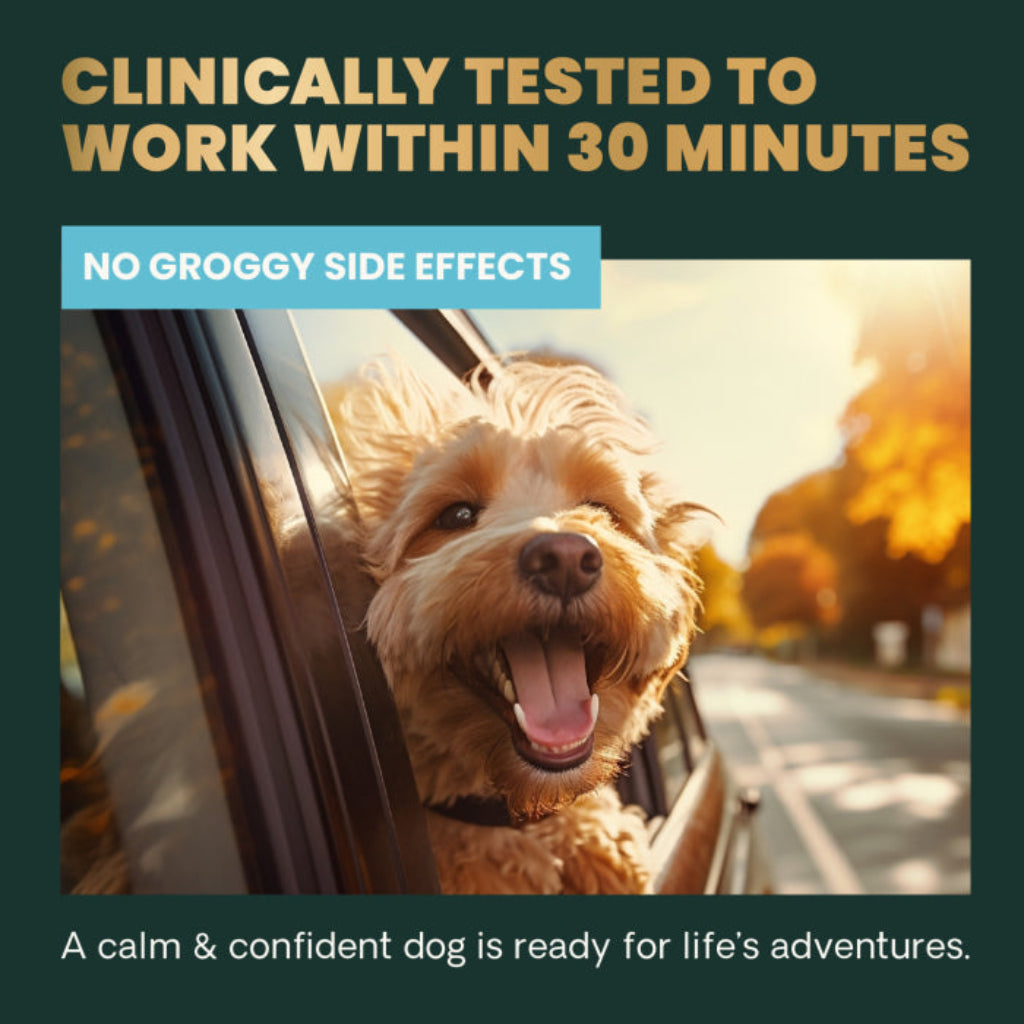 Dog looking out of a car window with text about product efficacy and side effects.