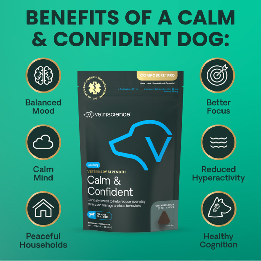 A product infographic for Vetriscience 'Calm & Confident' dog supplement. The central subject is a black stand-up pouch of the supplement, surrounded by eight circular icons on a teal background detailing benefits such as 'Balanced Mood', 'Better Focus', and 'Reduced Hyperactivity'.