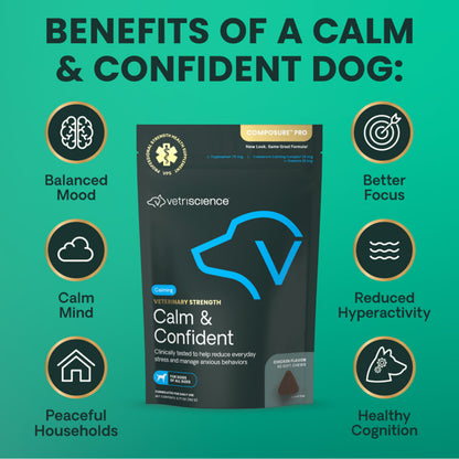 A product infographic for Vetriscience 'Calm & Confident' dog supplement. The central subject is a black stand-up pouch of the supplement, surrounded by eight circular icons on a teal background detailing benefits such as 'Balanced Mood', 'Better Focus', and 'Reduced Hyperactivity'.