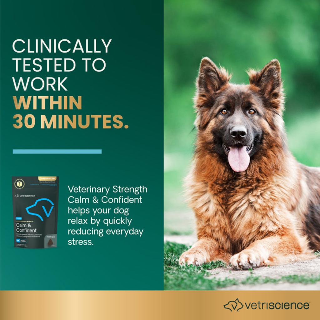 Promotional graphic for Vetriscience Calm & Confident dog supplement. The left side is dark teal with text reading 'Clinically Tested to Work Within 30 Minutes' and a small product pouch.