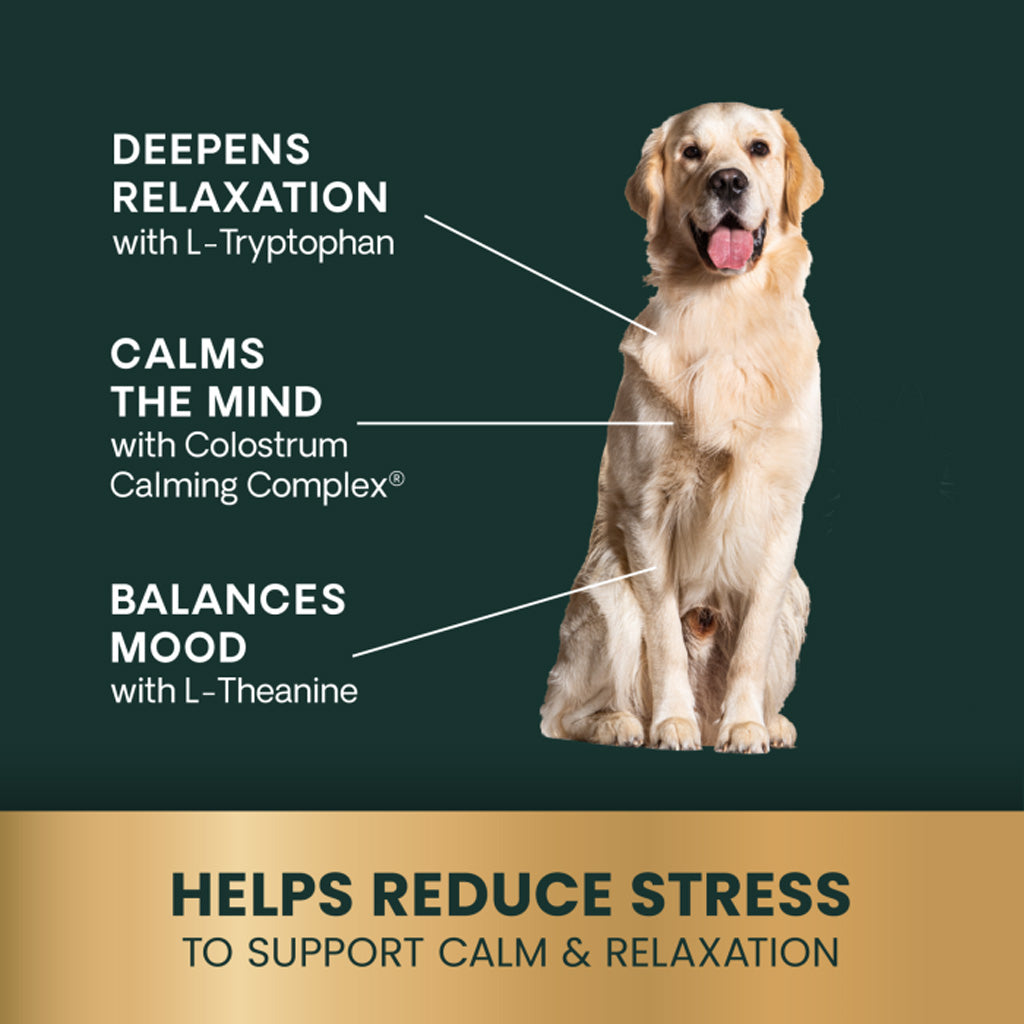 Dog sitting on a green background with text about stress reduction and calming ingredients.