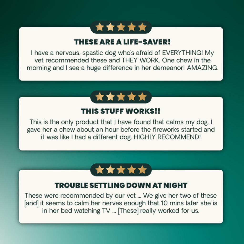 Three white review cards with black text and gold star icons on a dark teal background, showing customer testimonials for calming treats for dogs.