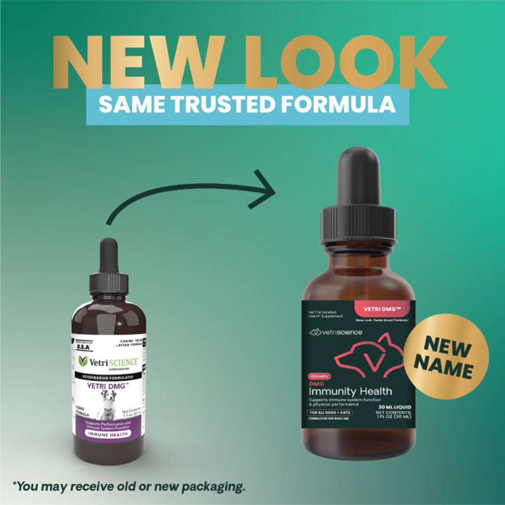 VetriScience Vetri DMG Liquid Immune Supplement for Dogs & Cats – UK Stock