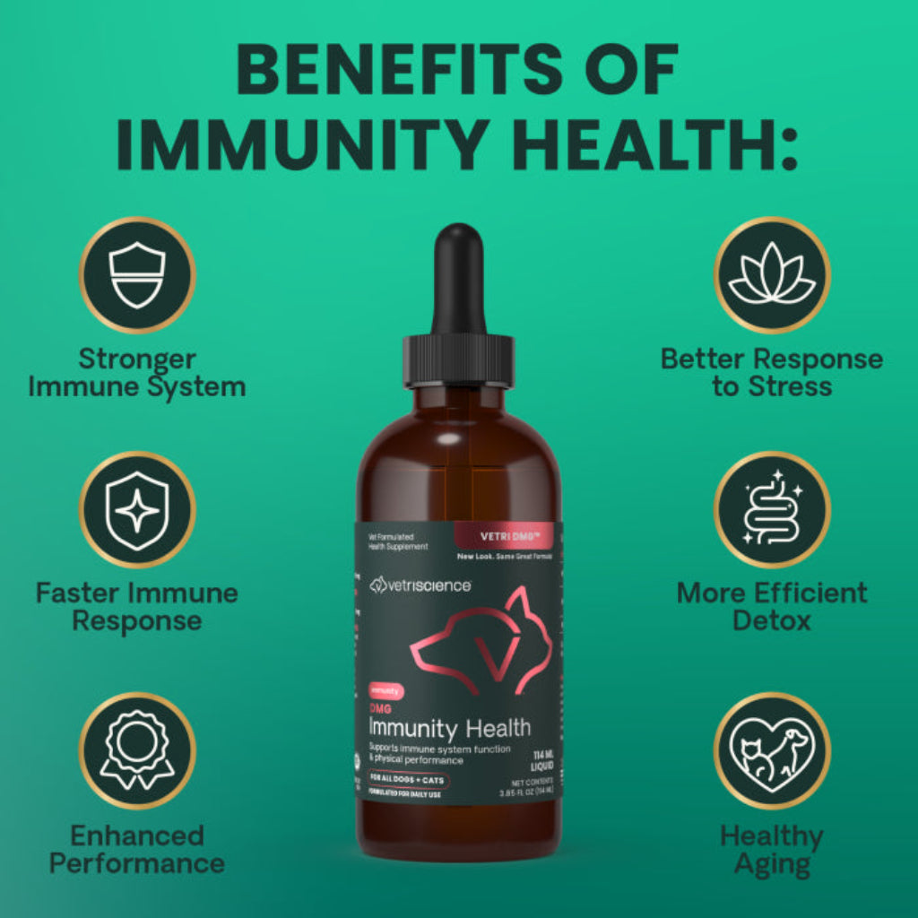 An amber glass dropper bottle labeled VetriScience Immunity Health centered on a teal-green background, surrounded by circular benefit icons and text reading 'BENEFITS OF IMMUNITY HEALTH.'.