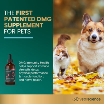Advertisement for a patented DMG supplement for pets with a dog and cat on a natural background, featuring VetriScience.