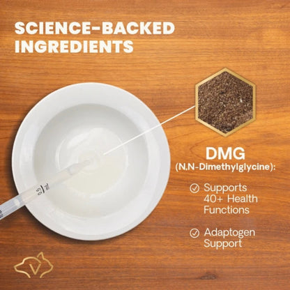White bowl with a spoon on a wooden surface, featuring text about DMG (N.N-Dimethylglycine) and its benefits.