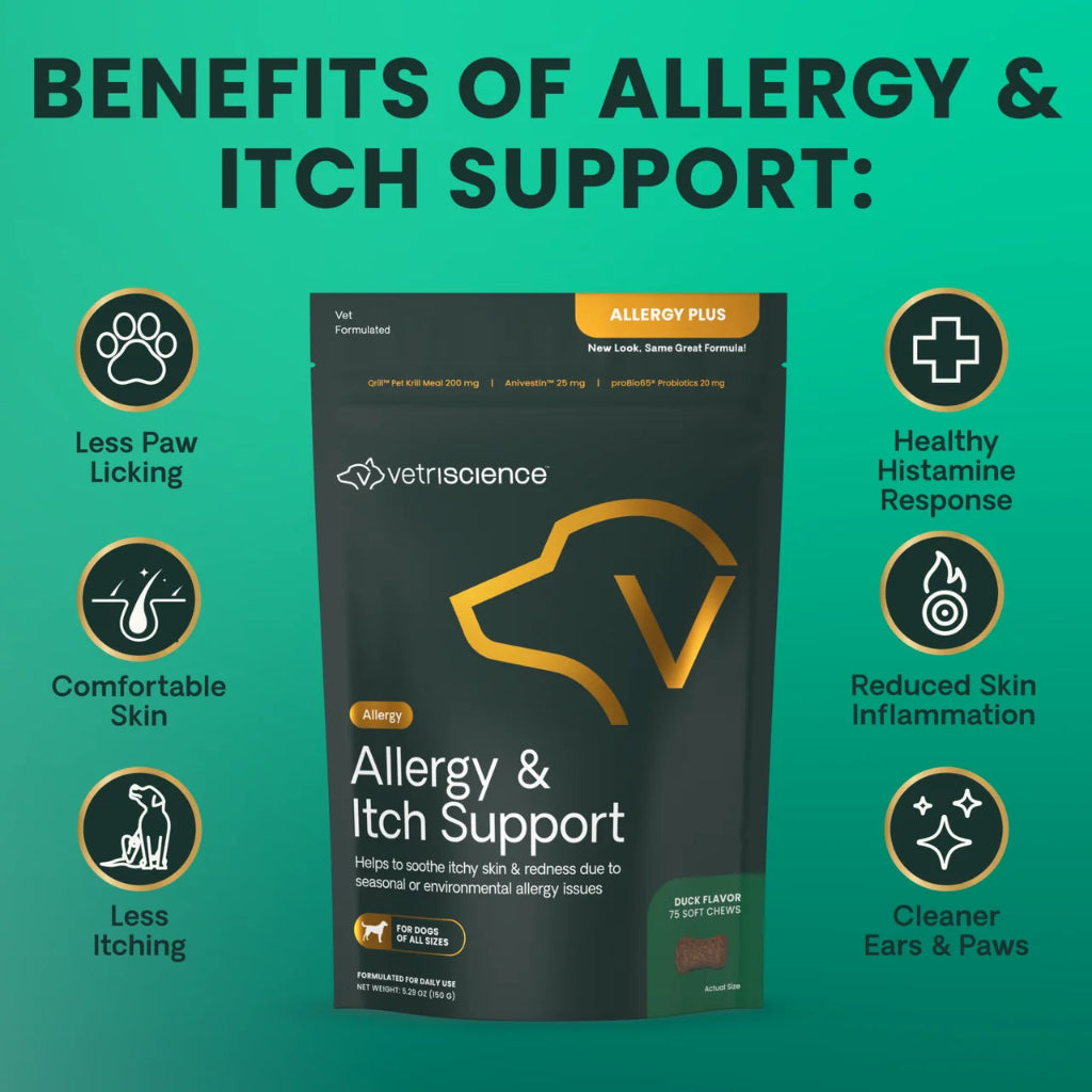 Benefits of Allergy & Itch Support for dogs, shown around the duck flavour chew pouch